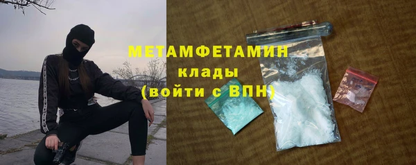 сатива Белая Холуница